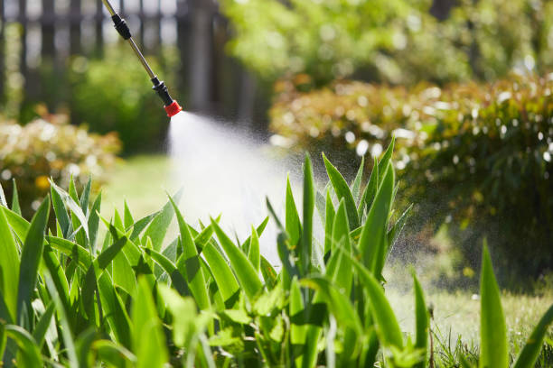 24/7 Emergency Mosquito Control experts in West Bend, WI