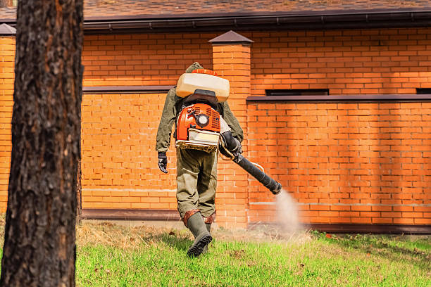 Top rated local Mosquito Control specialists in West Bend, WI